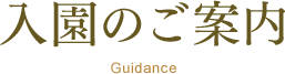 入園のご案内