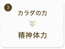 カラダの力 精神体力